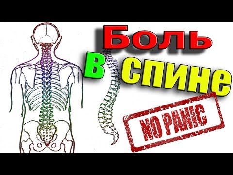 Гимнастика при остеохондрозе крестцово поясничном отделе Ноющая боль от поясницы в ногу и низ живота