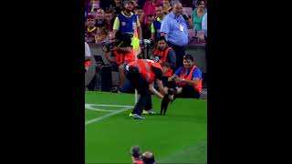 Animal Moments in Football🤯🔥
