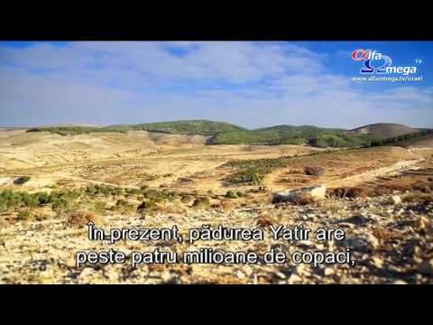 Israel - O natiune binecuvantata - 8 - Facand desertul sa infloreasca