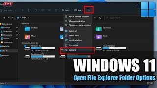 How to Open File Explorer Folder Options on Windows 11