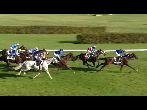 Dielsdorf - Grand Handicap   Preis des Rennvereins Zurich