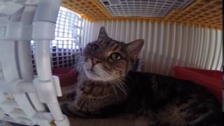 Mimine bis , 14 ans dans son studio.