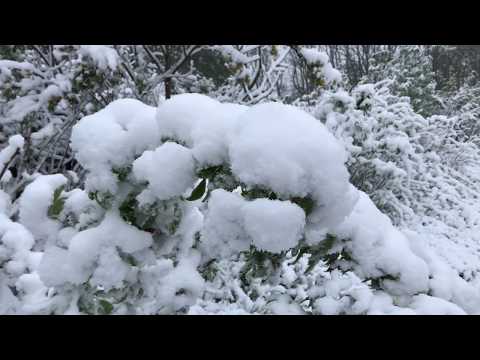 Schnee im Westerwald am 4. Mai 2019