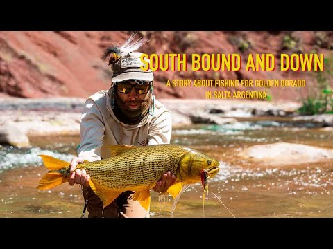 SOUTH BOUND AND DOWN: FLY FISHING FOR GOLDEN DORADO IN SALTA ARGENTINA