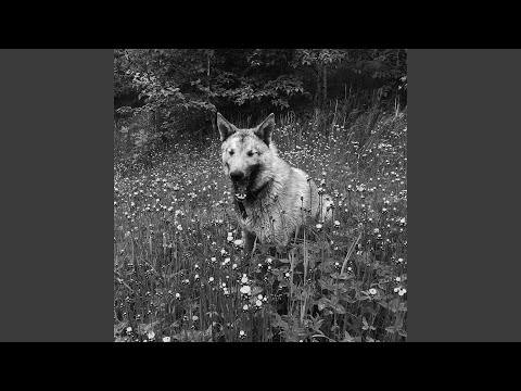 Video thumbnail for п2 (Instrumental) (p2)