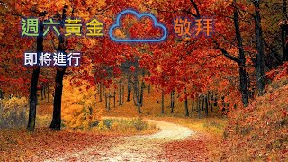 [2022]十一月五日 效法基督如何勝過憂慮