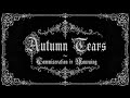 Autumn Tears ~ Commiseration in Mourning (traducción español) 