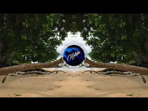 V A I T E R A N I [ Volcom Nox Tahiti Rmx Simple ] 2018