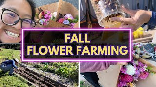 Vlog: Starting ranunculus, anemone and transitioning the field