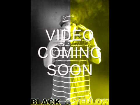 TY GULLY - BLACK & YELLOW