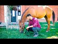 Old Town Road Spoof By Greg Sykes Realtor Feat 414 Harvest Rd And Chris P Bacon