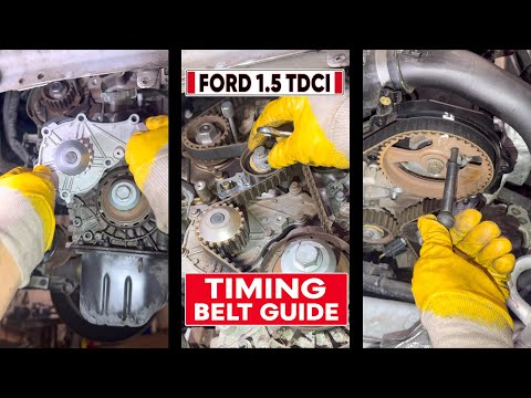 Complete Timing Belt Replacement Tutorial | Ford Focus 1.5 TDCi Diesel.
