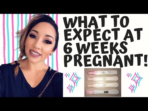 Early Pregnancy Symptoms 4 to 6 weeks  - WHAT TO EXPECT AT 6 WEEKS PREGNANT