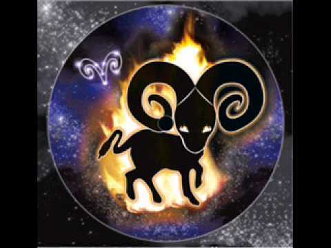 Anticptik Kaotek - Betise Humaine