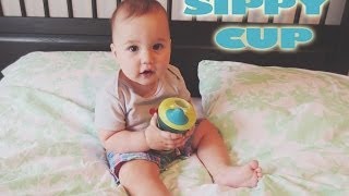 Tommee Tippee Sippy Cup - Truly Spill Proof Spout Cup