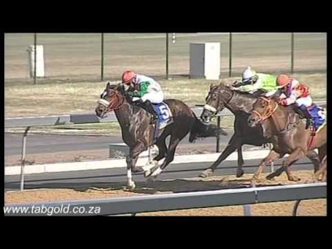 Greyville 16072014 Race 6 won by Sacred Jewel