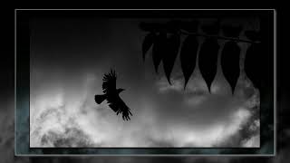 Reinhard Mey ~ Sei wachsam