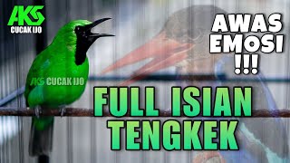 Download lagu PANCINGAN CUCAK IJO GACOR FULL ISIAN TENGKEK UDANG COCOK UNTUK DONGKRAK EMOSI IJO LAIN AUTO RESPON mp3