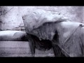 Efterklang - Blowing Lungs Like Bubble (Live)