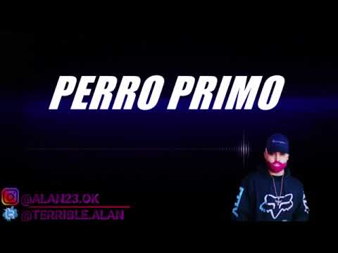 PERRO PRIMO ENGANCHADOS ❌ #2025