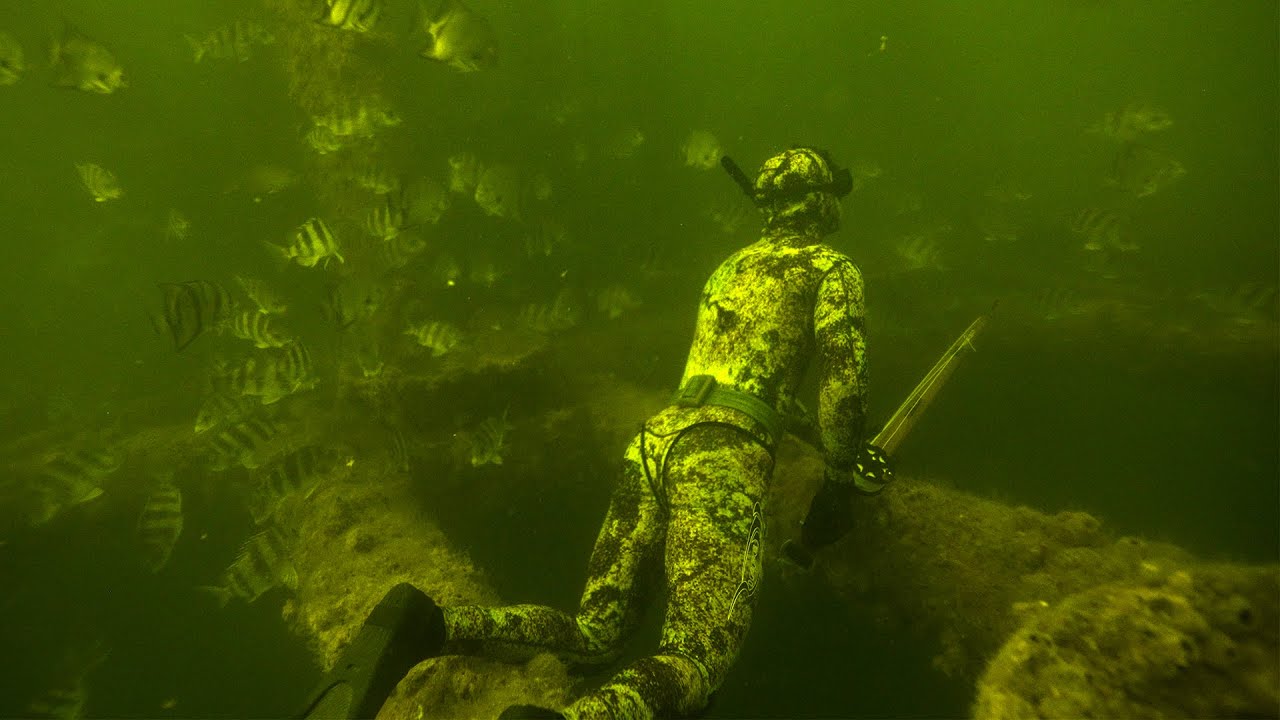 PW25 in Action