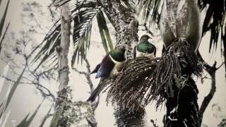 Silver Foil prints 1080p 1