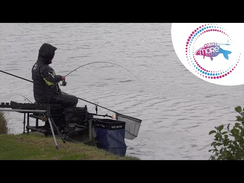 Commercial Feeder Championship 2019