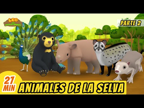 Animales de la Selva Episodio Compilación [Parte 2/2] (Español) - Leo, El Explorador | Animación