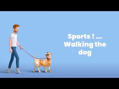 A Day in the Life of a Writer: Pens, Paws, and Prose