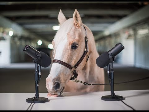NEIGH-SMR (aka Horse Eating ASMR)