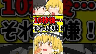 10秒後･･･食パンが食べれなくて泣いてしまう猫！？ #shorts #博麗霊夢 #ゆっくり茶番劇