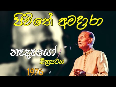 ජිවිතේ අමදාරා  |  Jivithe Amadara  |  TM Jayaratne Official