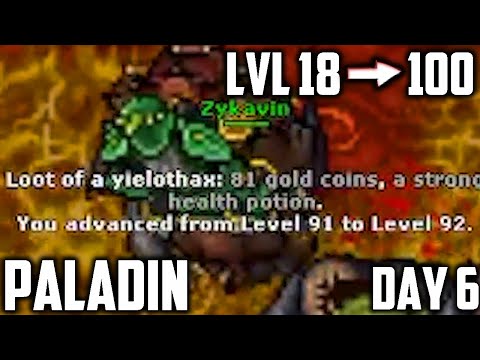 PALADIN: From LVL 18 to 100 in 7 DAYS - Part 6 (Day 6, subtitled)