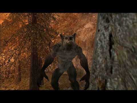 Griffith Park Werewolf Chase.