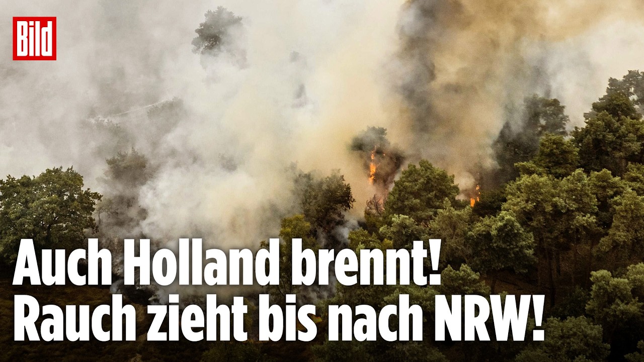 HOLLAND: Waldbrand an Grenze zu Deutschland außer Kontrolle! Wind erschwert Löscharbeiten!