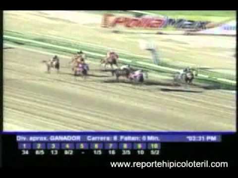 Resumen Domingo 27 de Noviembre de 2011 - La Rinconada