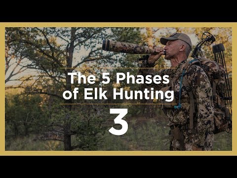 PEAK RUT | The 5 Phases of Elk Hunting