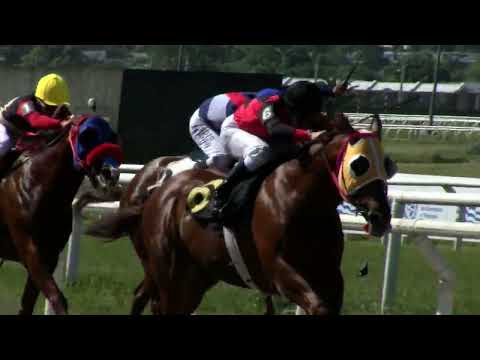 221127 c03 1° MARLON BRANDO