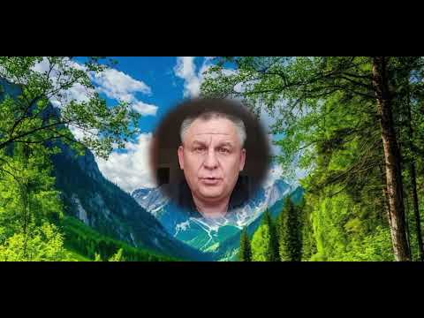 Зачем зарыли Города и куда делись вековые леса. Вячеслав Деревенский