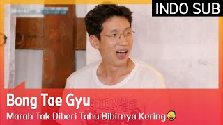 Download lagu Bong Tae Gyu Marah Tak Diberi Tahu Bibirnya Kering😅 #WeDontBiteVillainsInTheCountryside 🇮🇩SUB INDO🇮🇩 mp3