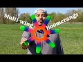 Boomerangs Beyond The Classic V