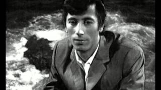 BAMBINO "PALOMA SIN NIDO" (IGNACIO JAIME)