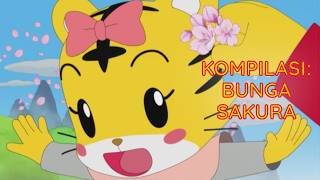 Kompilasi: Bunga Sakura | Kartun Anak Bahasa Indonesia | Shimajiro Indonesia