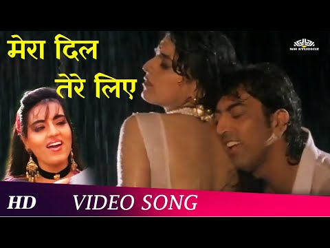 Mera Dil Tera Deewana Karan (HD) | Karan (1994) | Vindu Dara Singh | Trishna | Bollywood Superhits
