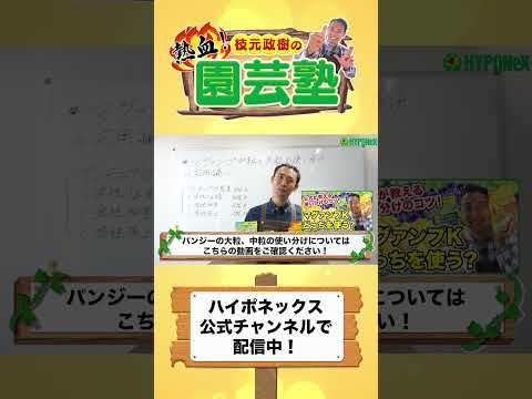 園芸 サイズの基本ルール