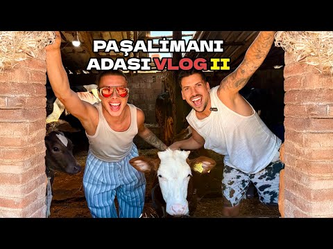 PAŞALİMANI ADASI VLOG II