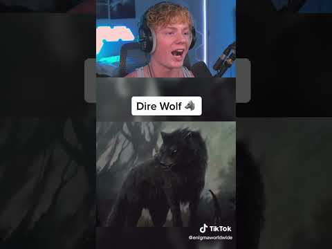 Extinct Animals Caught on Camera... 🦖🦈