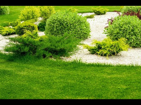 Lumo - Automatyczne Nawadnianie Ogrodów - Mateusz Jankowicz - video