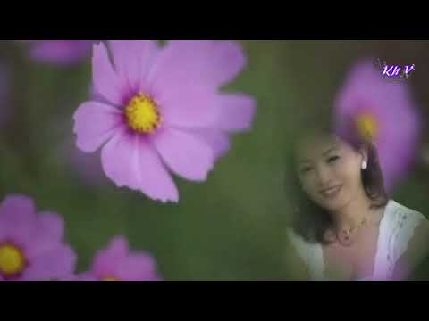 Vườn thu Sheet - Hoàng Oanh