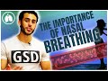The Importance of Proper Nasal Breathing for Optimal Health 🌬️